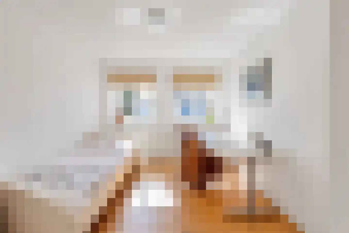 Baroniestraat 1 Gronsveld thumbnail 30