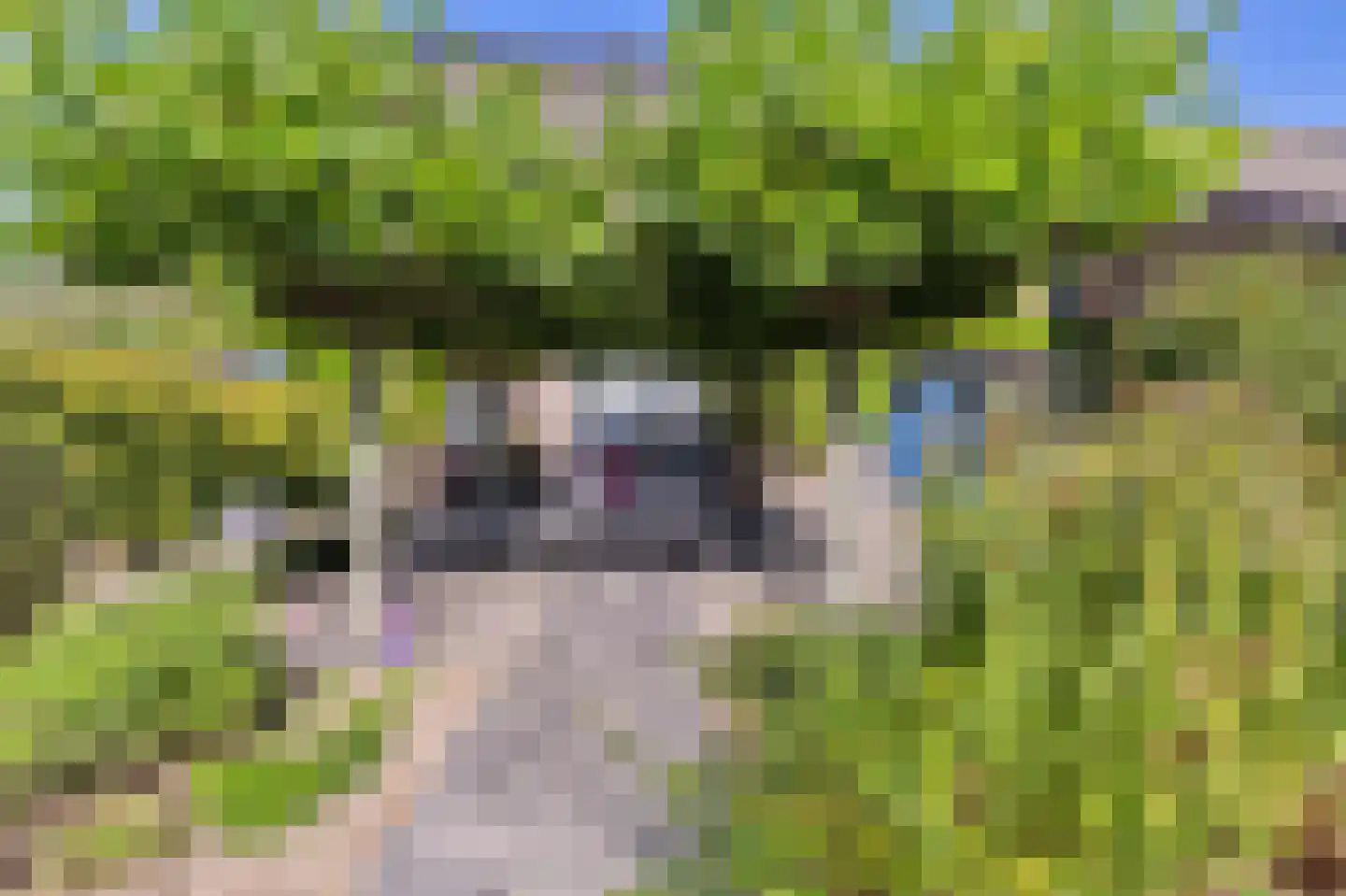Baroniestraat 1 Gronsveld thumbnail 33