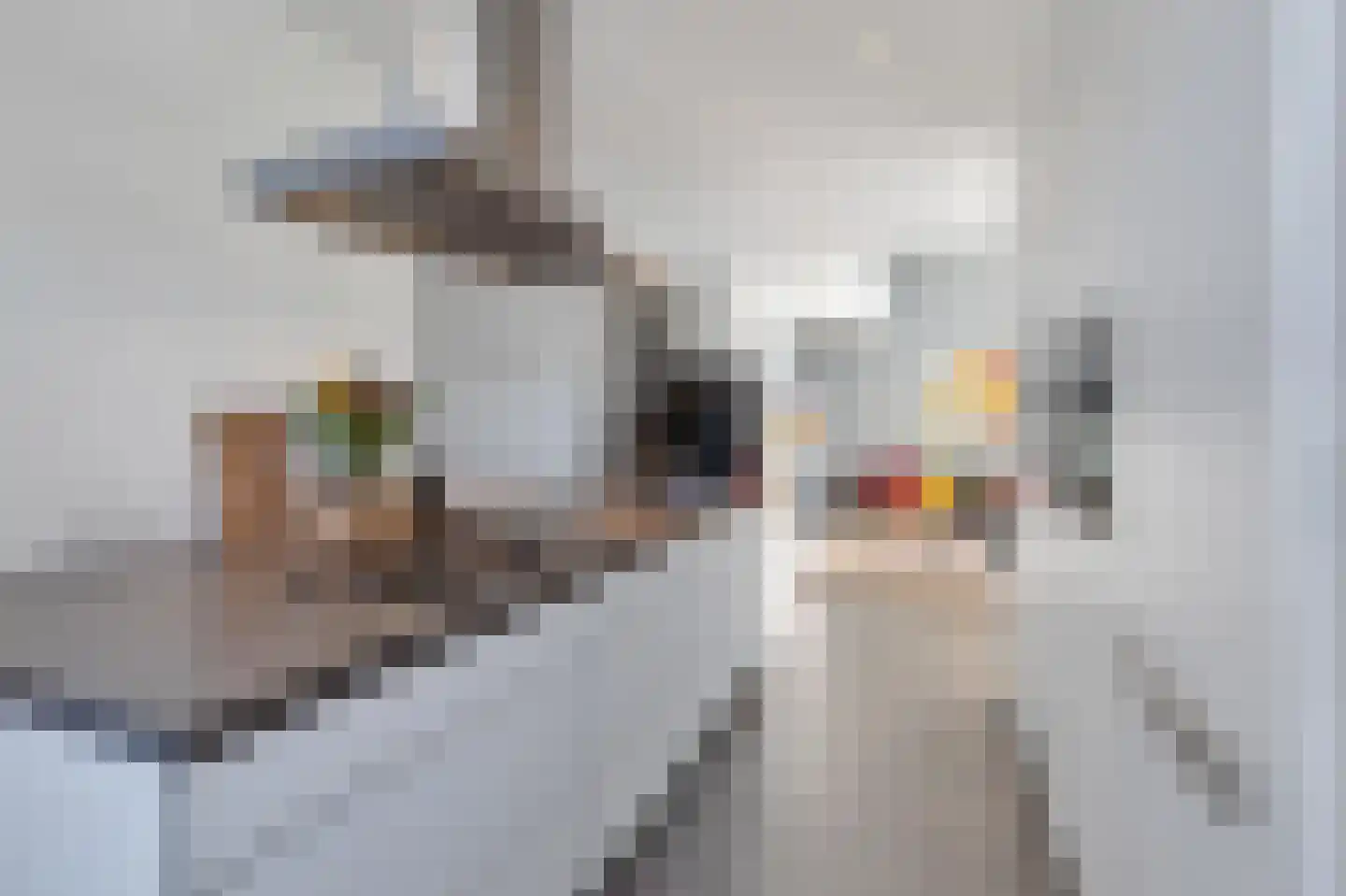 Baroniestraat 1 Gronsveld thumbnail 4