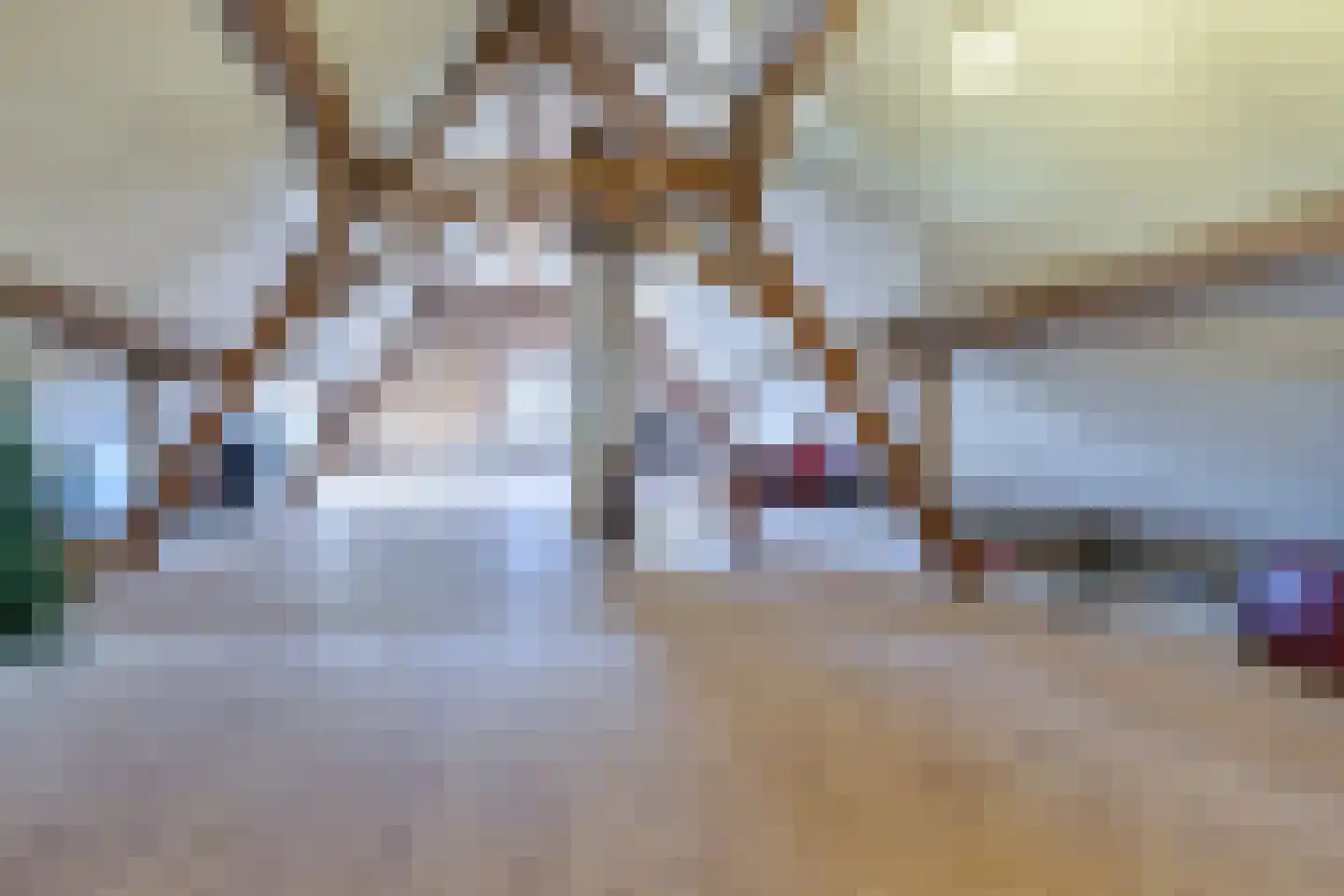 Baroniestraat 1 Gronsveld thumbnail 41