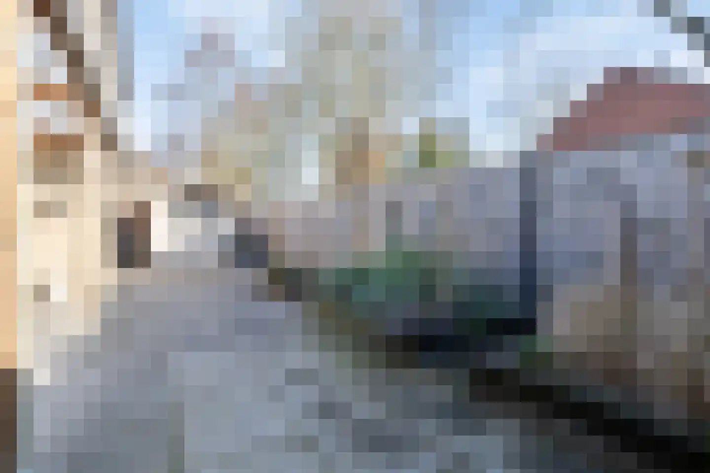 Baroniestraat 1 Huijbergen thumbnail 51