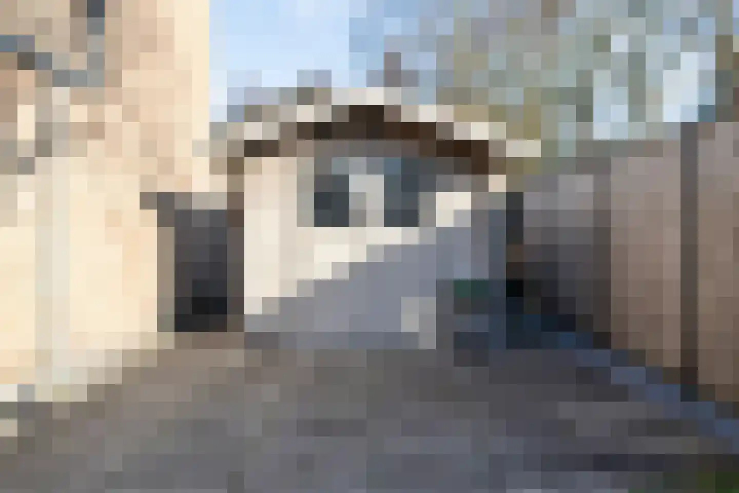 Baroniestraat 1 Huijbergen thumbnail 52