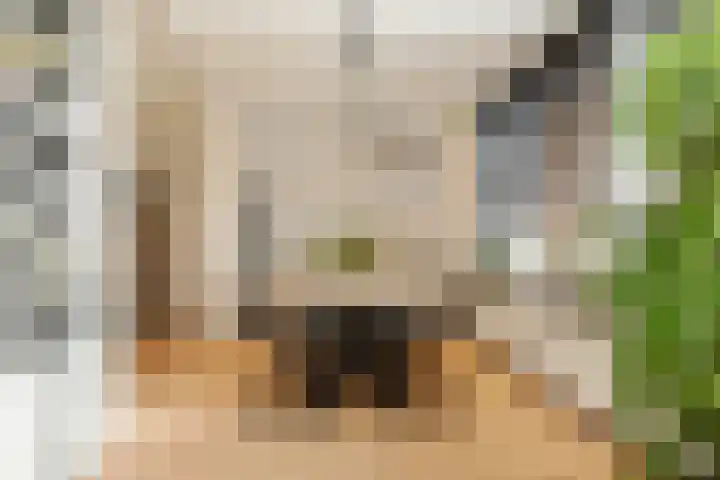 Baroniestraat 10 Weert thumbnail 18