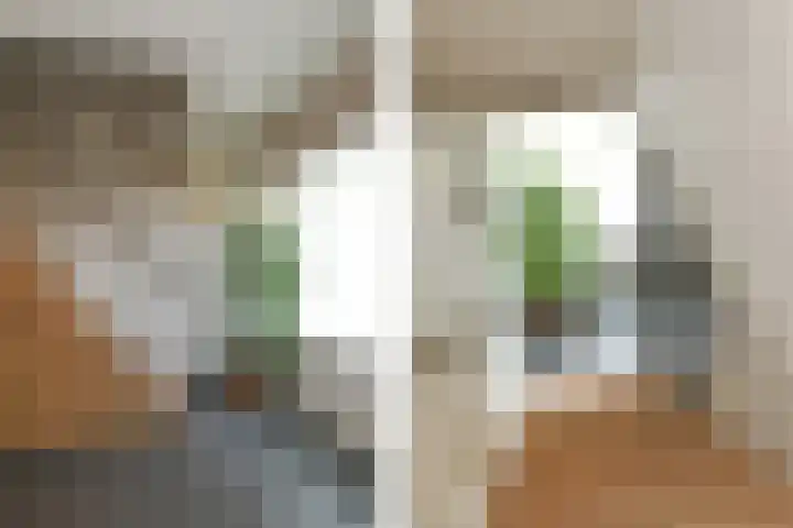 Baroniestraat 10 Weert thumbnail 22