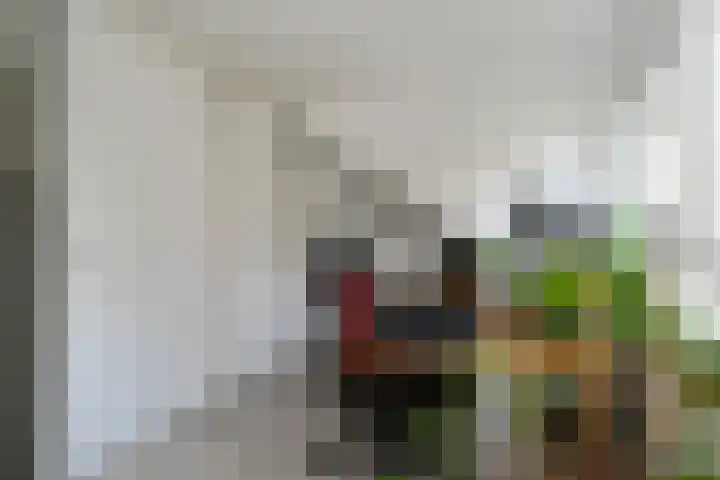 Baroniestraat 10 Weert thumbnail 31