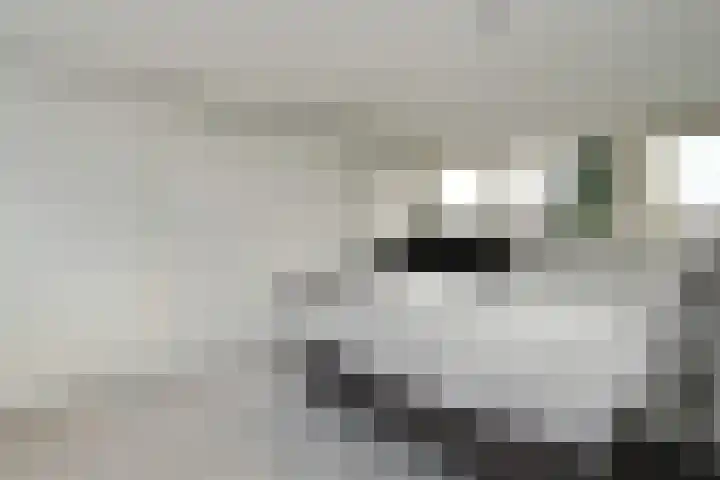 Baroniestraat 10 Weert thumbnail 32
