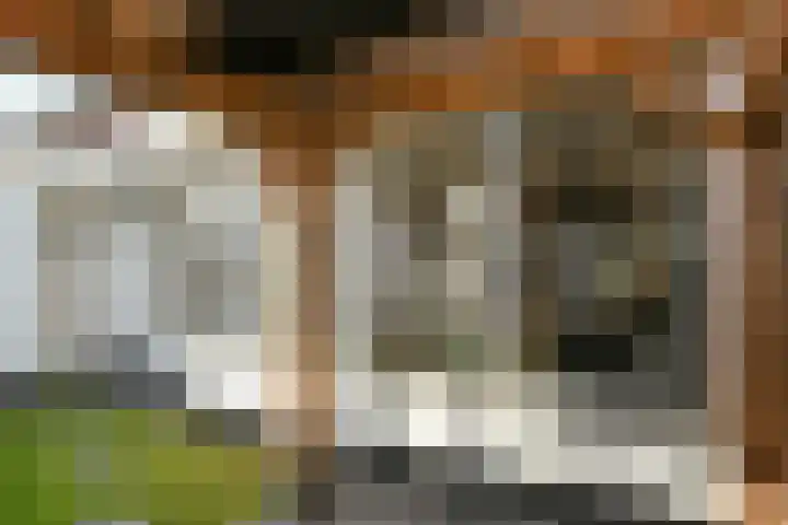 Baroniestraat 10 Weert thumbnail 38