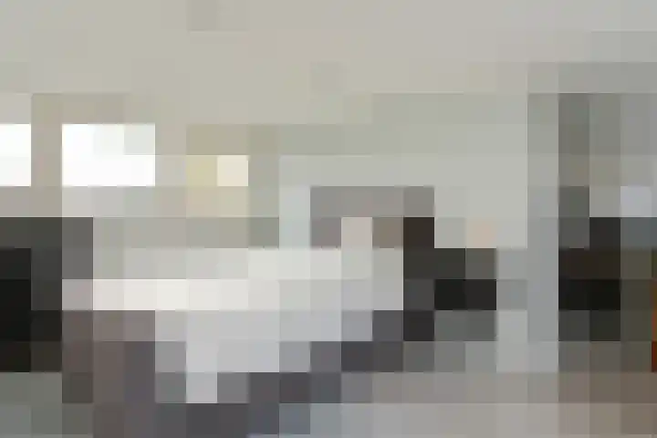 Baroniestraat 10 Weert thumbnail 5