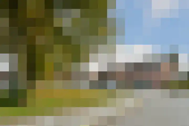 Baroniestraat 10 Weert thumbnail 6