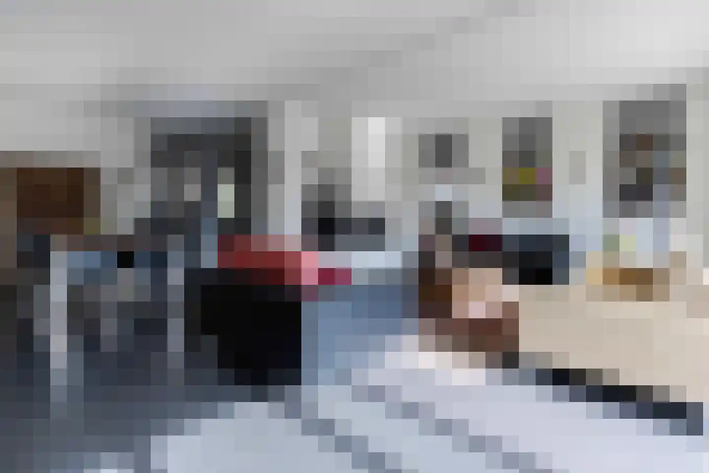 Baroniestraat 11 Gronsveld thumbnail 11