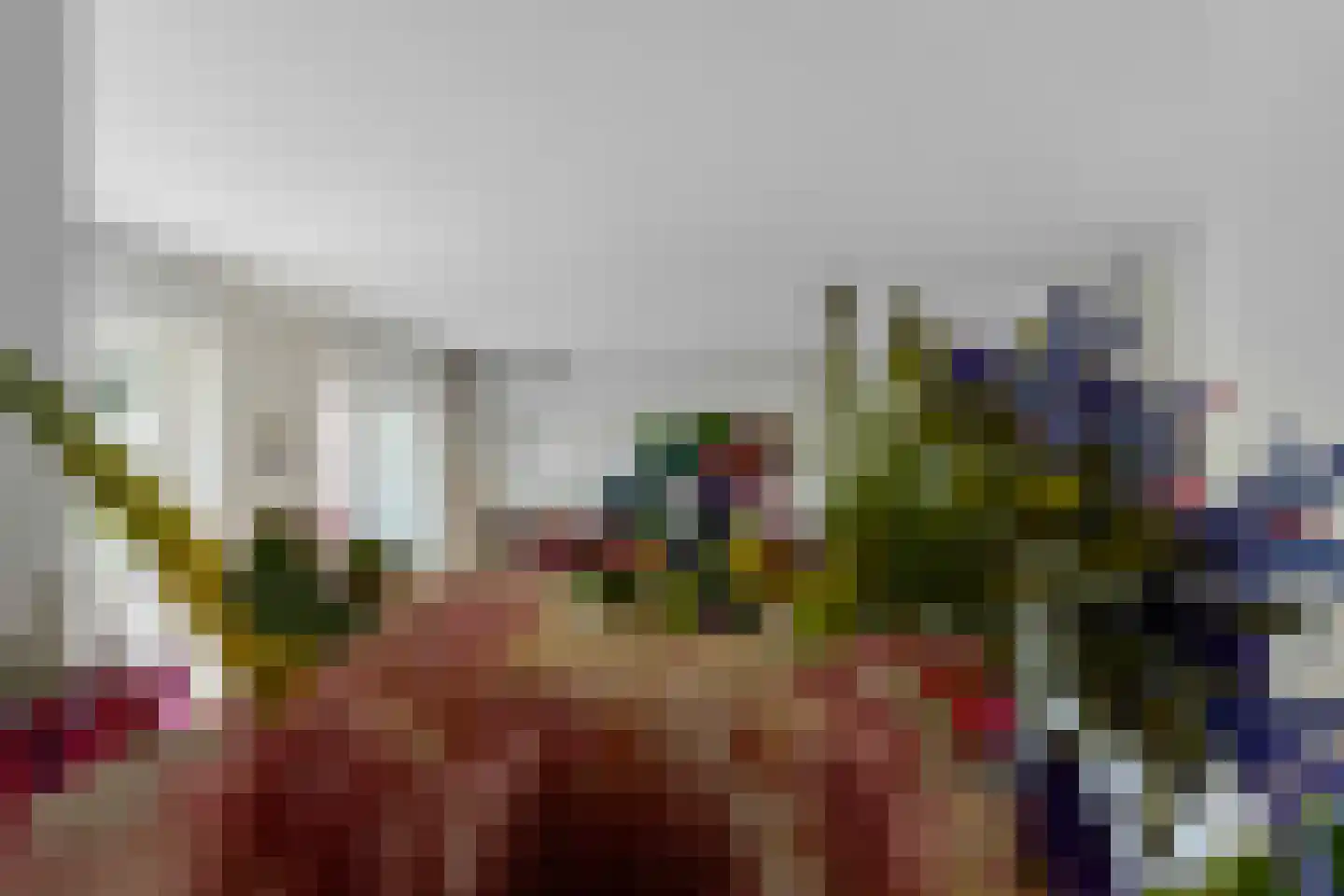 Baroniestraat 11 Gronsveld thumbnail 17
