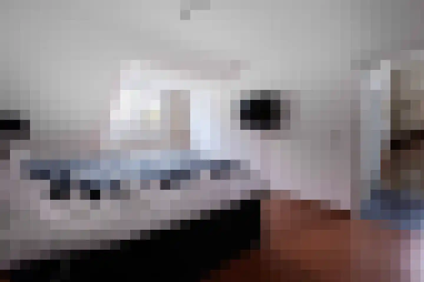 Baroniestraat 11 Gronsveld thumbnail 30