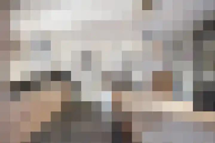 Baroniestraat 14 Chaam thumbnail 17