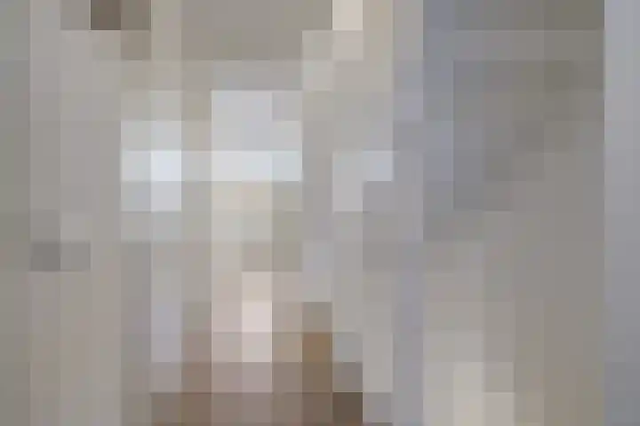Baroniestraat 14 Chaam thumbnail 19