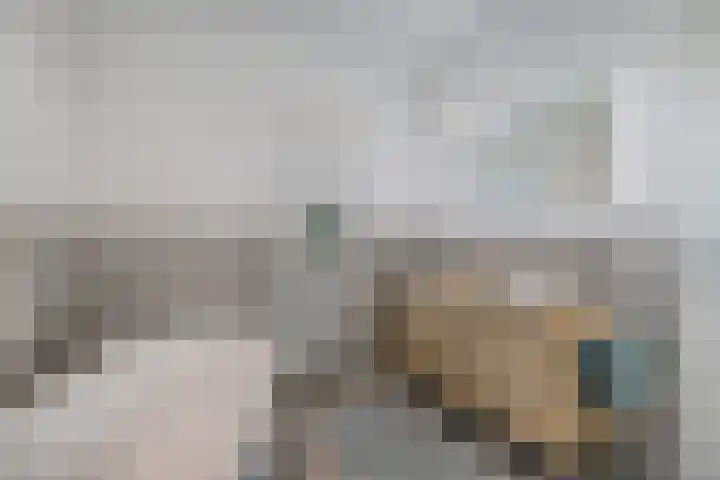 Baroniestraat 14 Chaam thumbnail 26