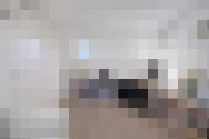 Baroniestraat 14 Chaam thumbnail 33