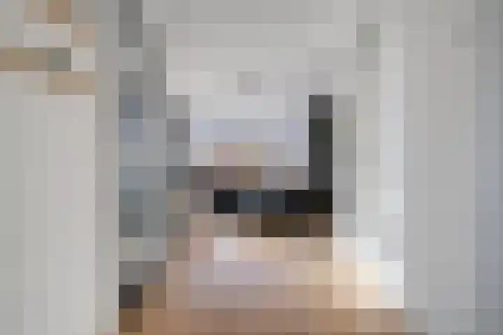 Baroniestraat 14 Chaam thumbnail 6