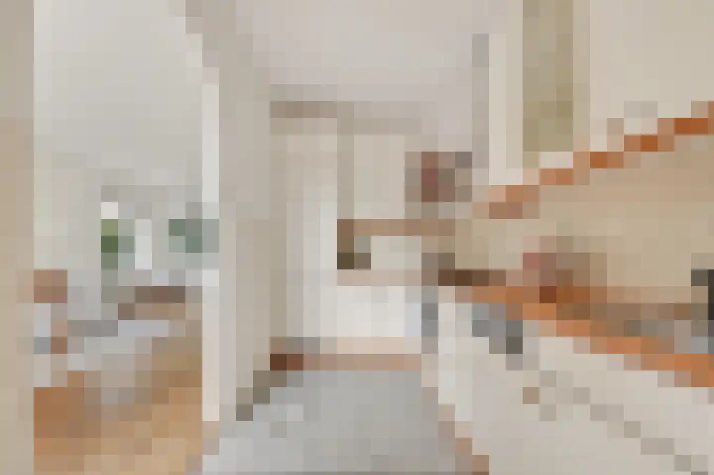Baroniestraat 15 Amsterdam thumbnail 10