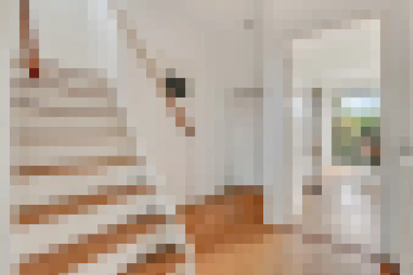 Baroniestraat 15 Amsterdam thumbnail 15