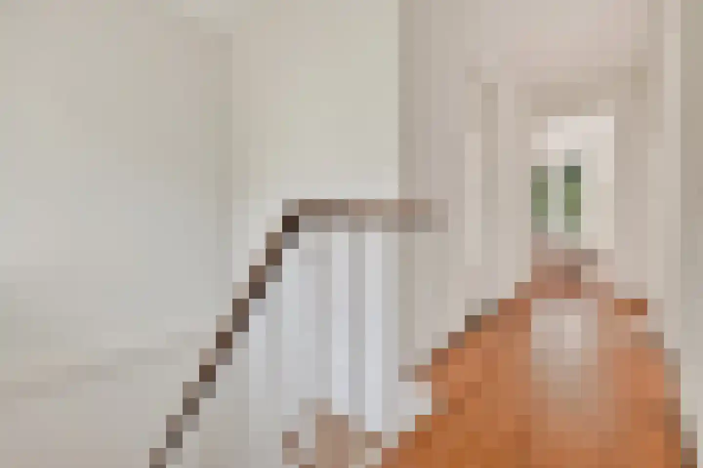 Baroniestraat 15 Amsterdam thumbnail 16