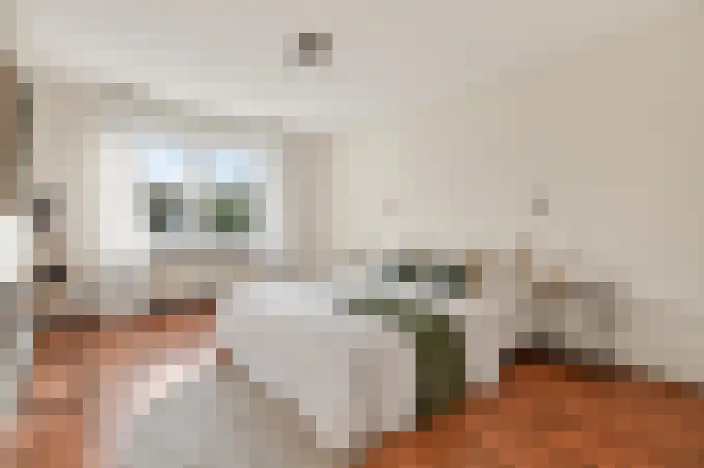 Baroniestraat 15 Amsterdam thumbnail 18