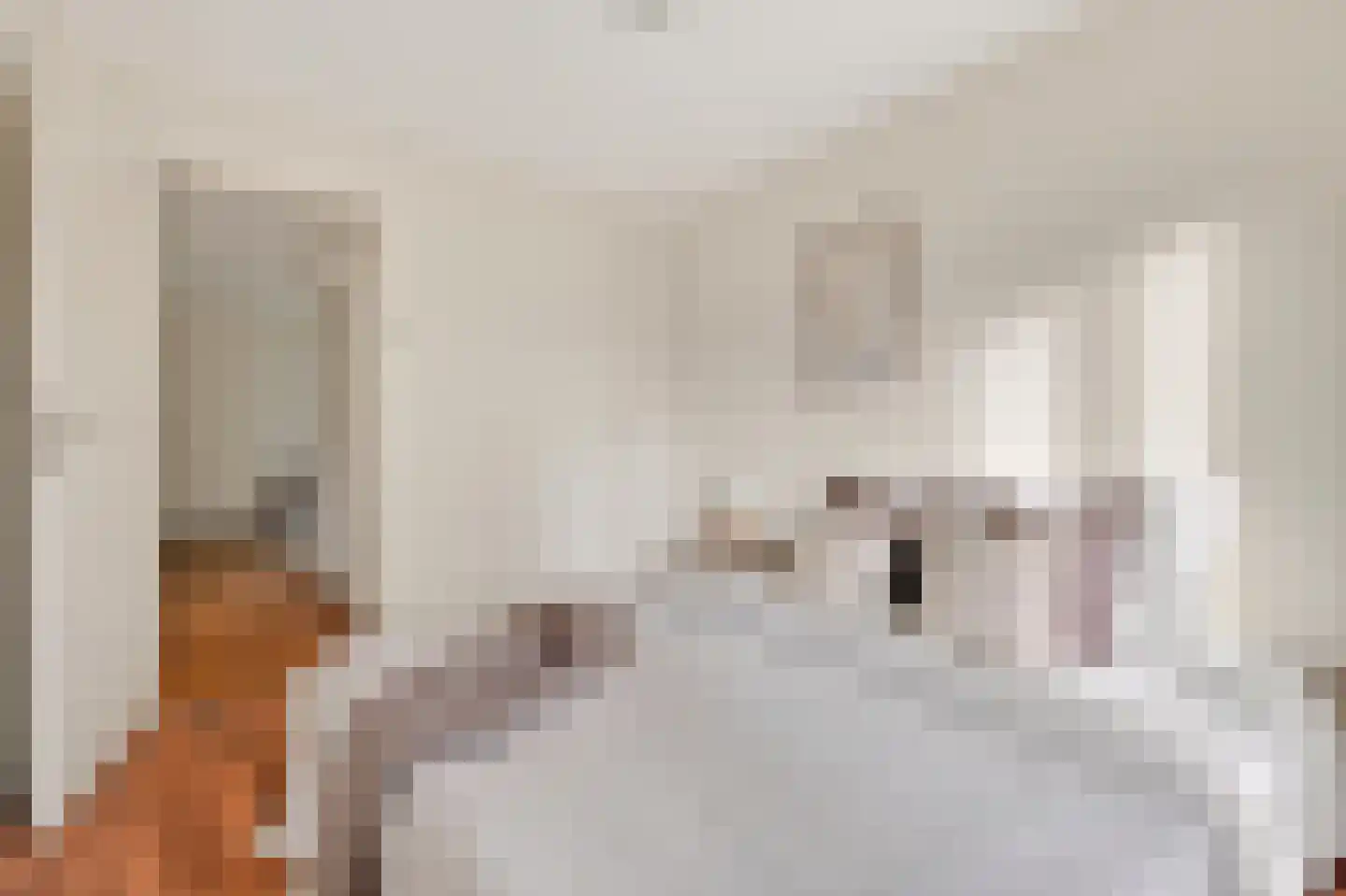Baroniestraat 15 Amsterdam thumbnail 22