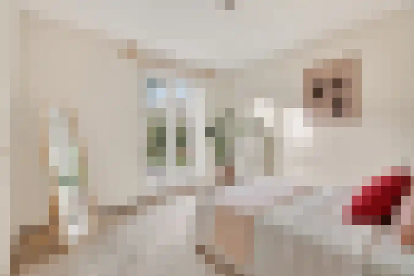Baroniestraat 15 Amsterdam thumbnail 23