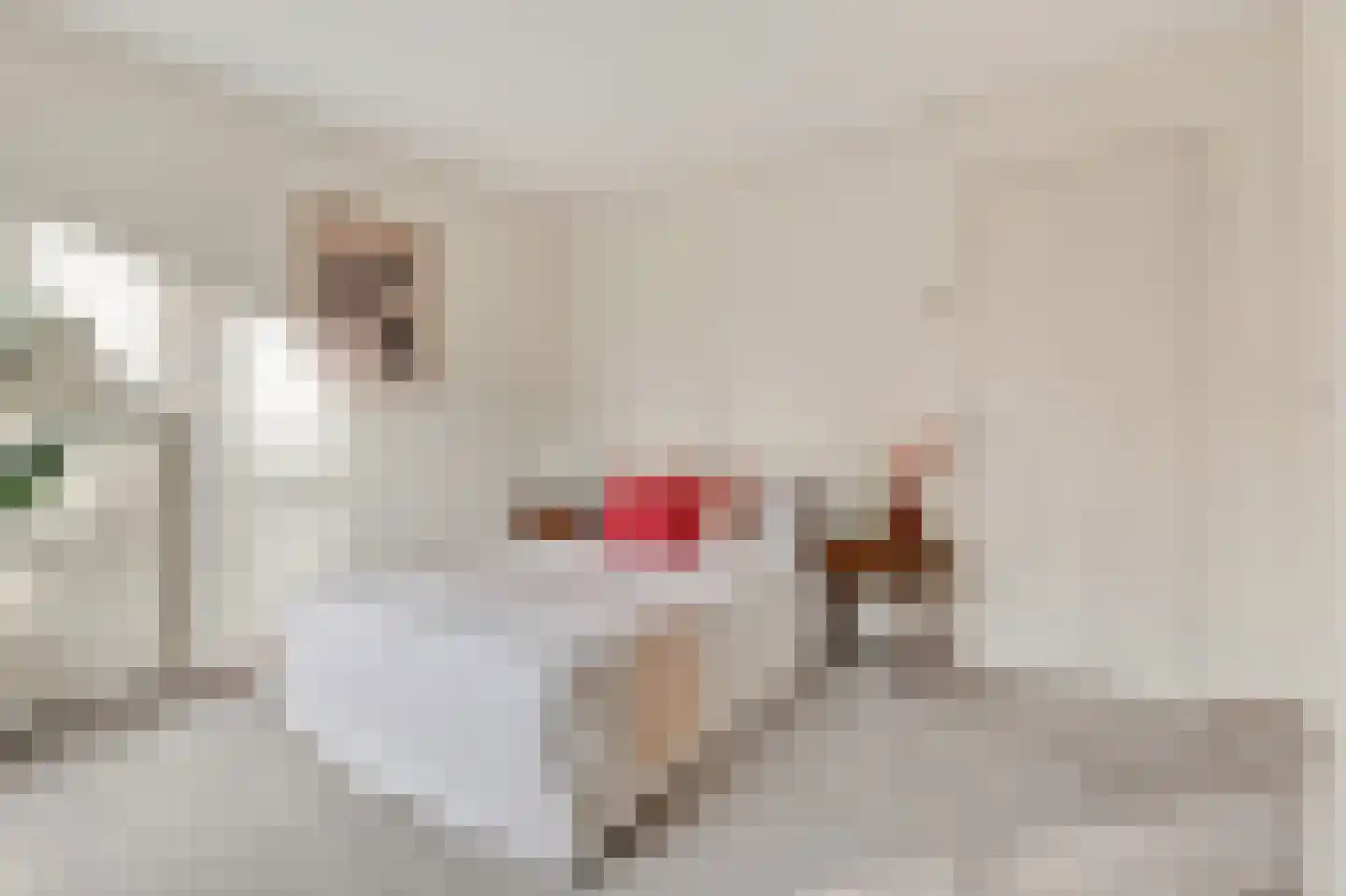 Baroniestraat 15 Amsterdam thumbnail 25