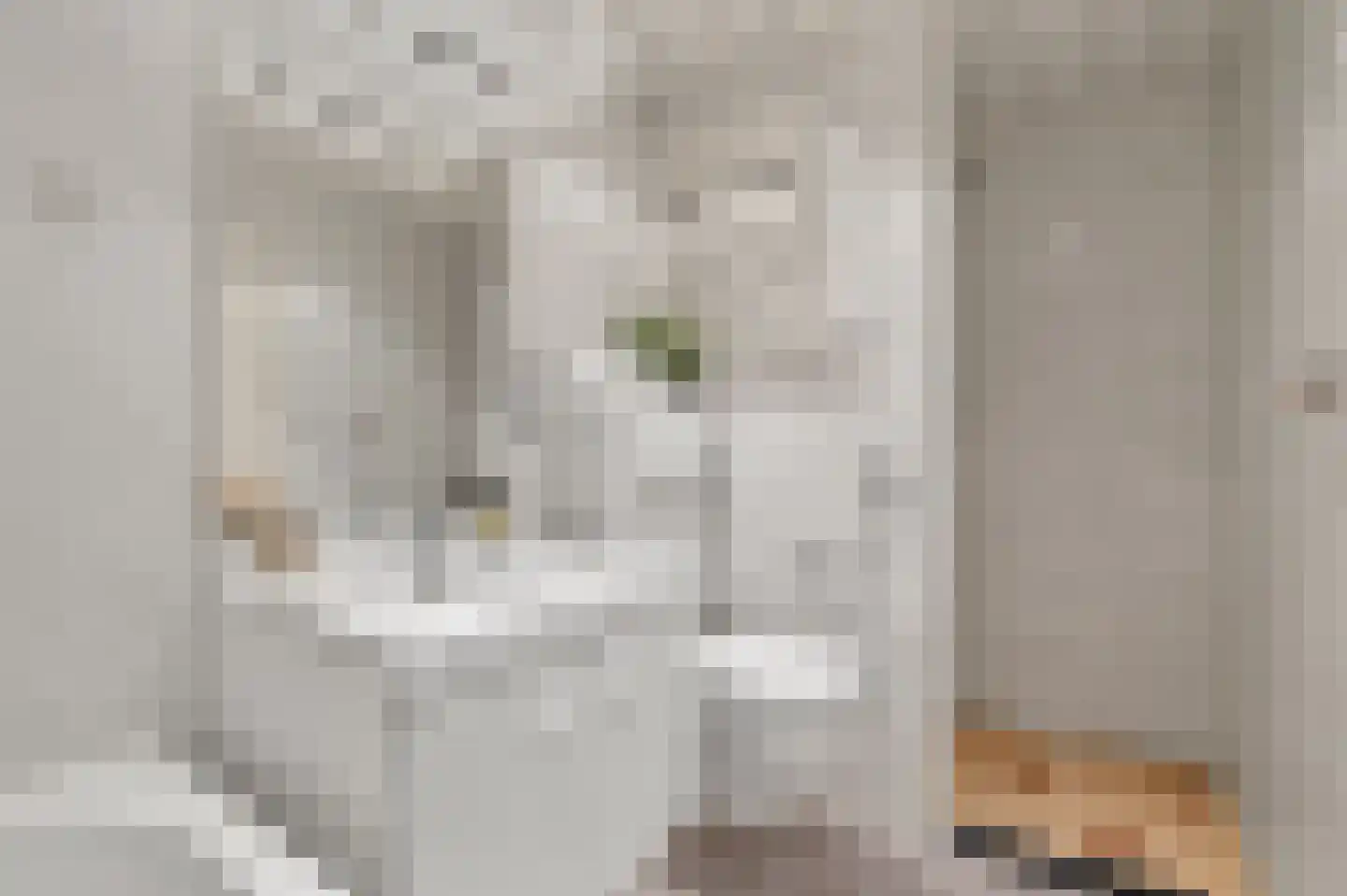 Baroniestraat 15 Amsterdam thumbnail 27
