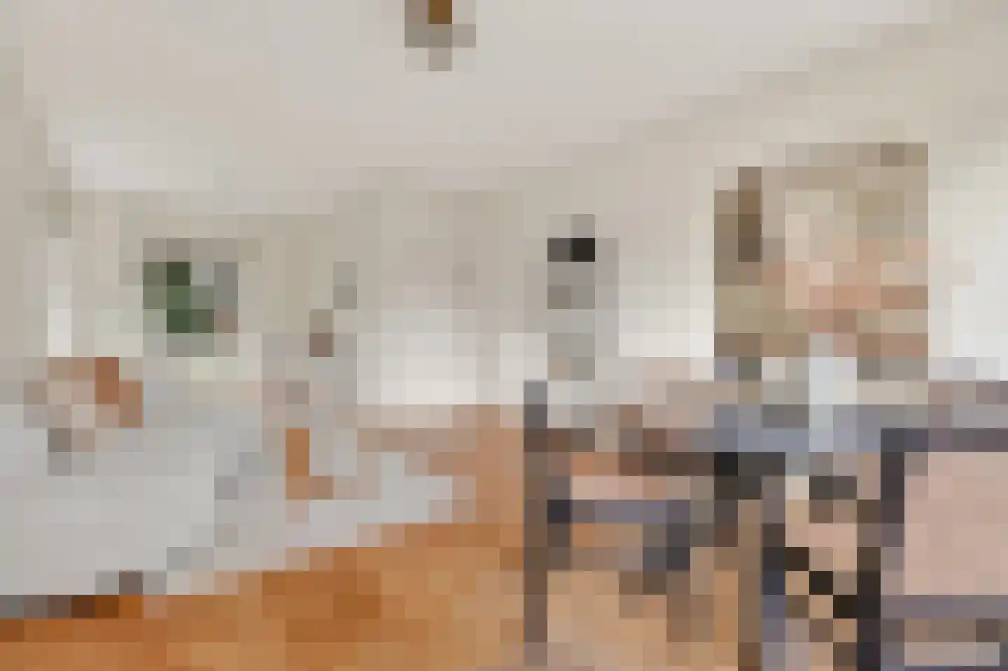Baroniestraat 15 Amsterdam thumbnail 7