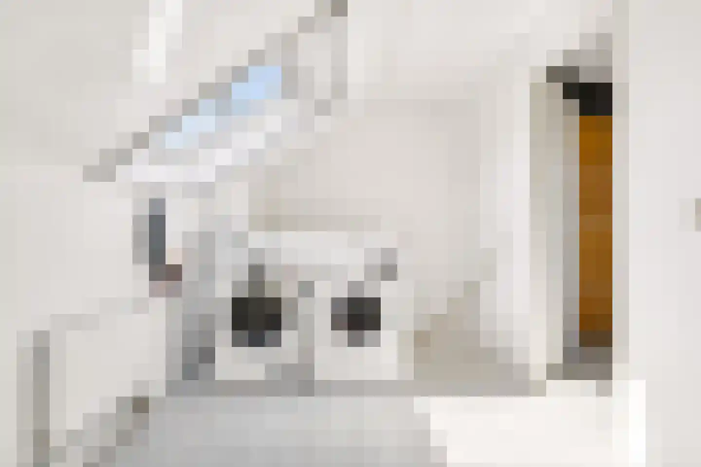 Baroniestraat 18 Almere thumbnail 30