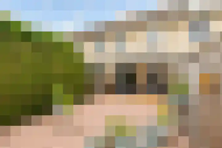 Baroniestraat 21 Almere thumbnail 6