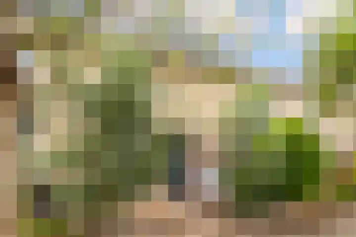 Baroniestraat 21 Almere thumbnail 8