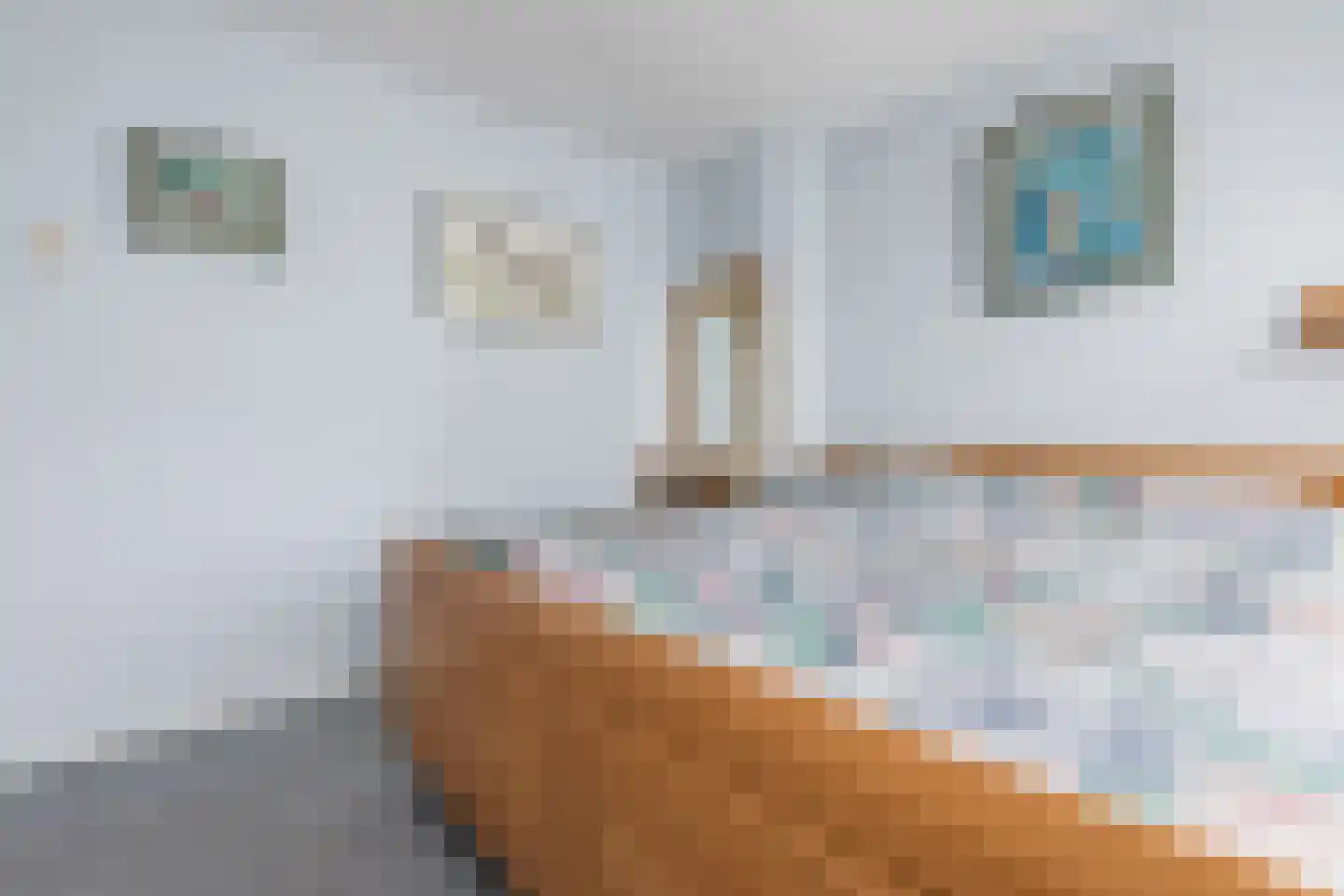 Baroniestraat 23 Rijen thumbnail 21