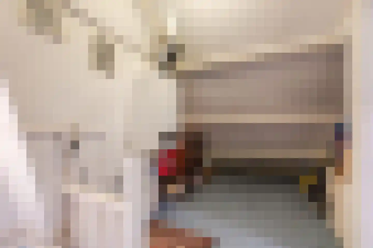 Baroniestraat 23 Rijen thumbnail 32