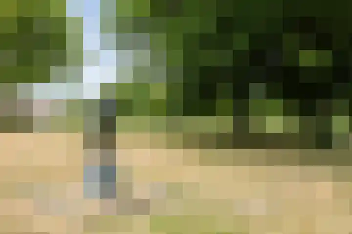 Baroniestraat 27 Boxtel thumbnail 66