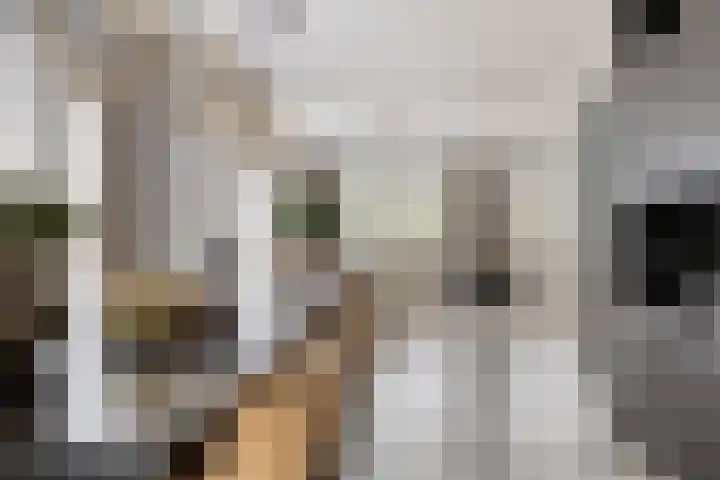 Baroniestraat 28 Etten-Leur thumbnail 10
