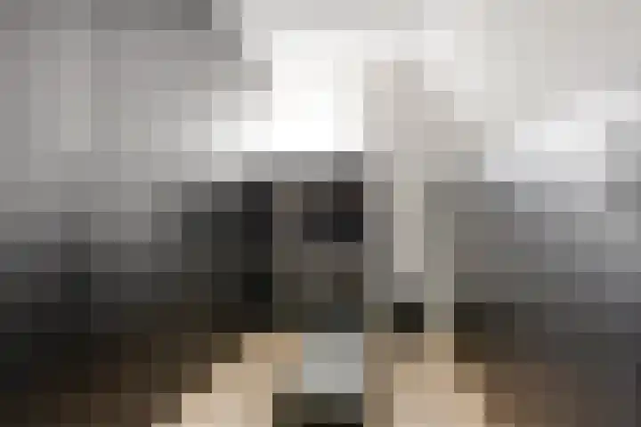 Baroniestraat 28 Etten-Leur thumbnail 17