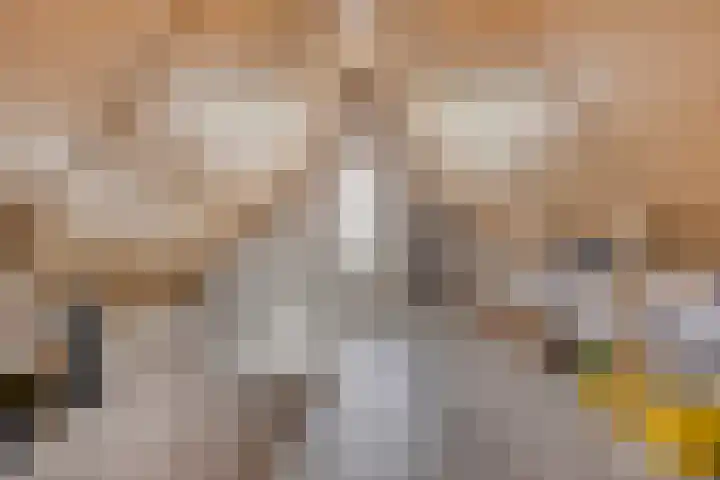Baroniestraat 28 Etten-Leur thumbnail 22