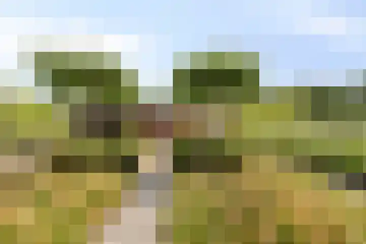 Baroniestraat 28 Etten-Leur thumbnail 23