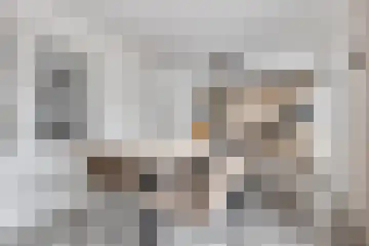 Baroniestraat 28 Etten-Leur thumbnail 4