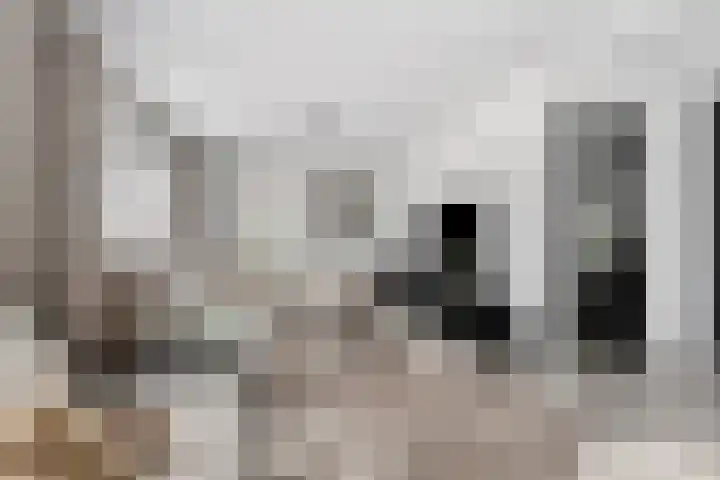 Baroniestraat 28 Etten-Leur thumbnail 7
