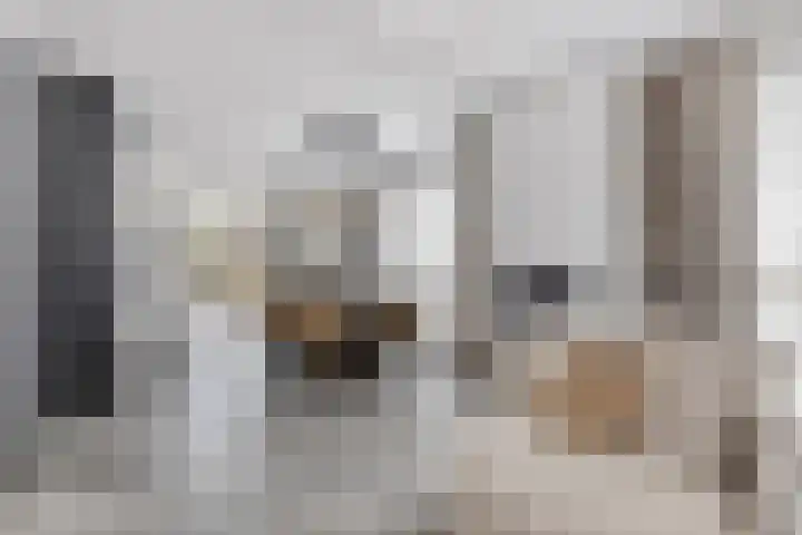 Baroniestraat 28 Etten-Leur thumbnail 9