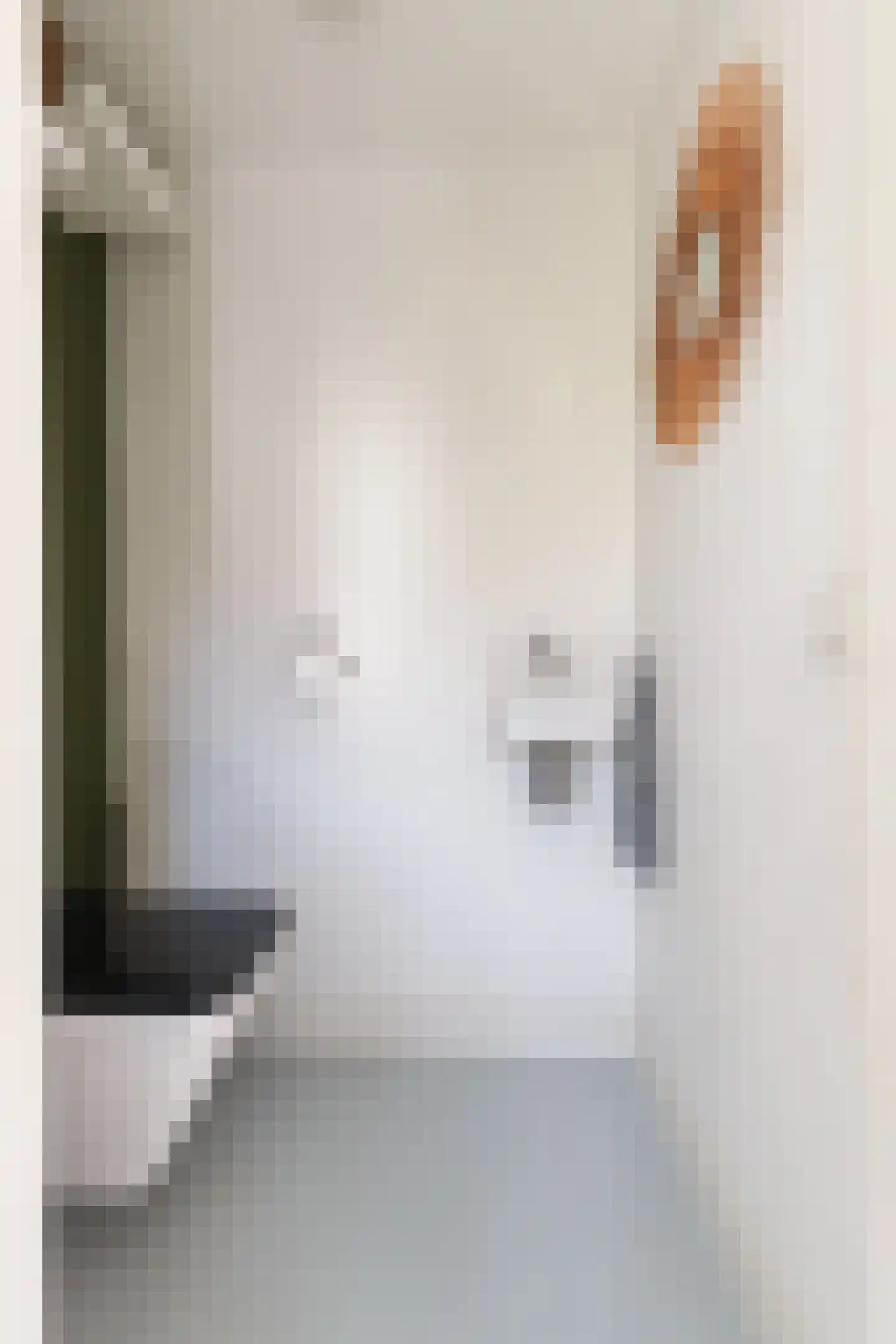 Baroniestraat 29 Boxtel thumbnail 8
