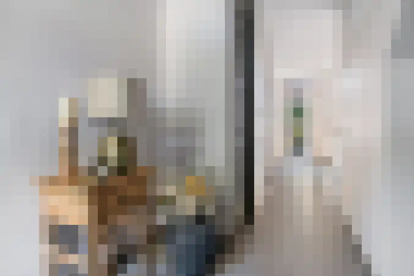 Baroniestraat 29 Etten-Leur thumbnail 10