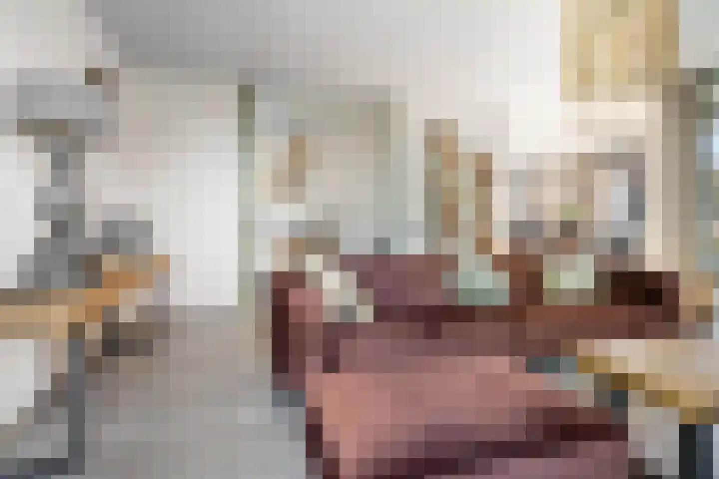 Baroniestraat 29 Etten-Leur thumbnail 16