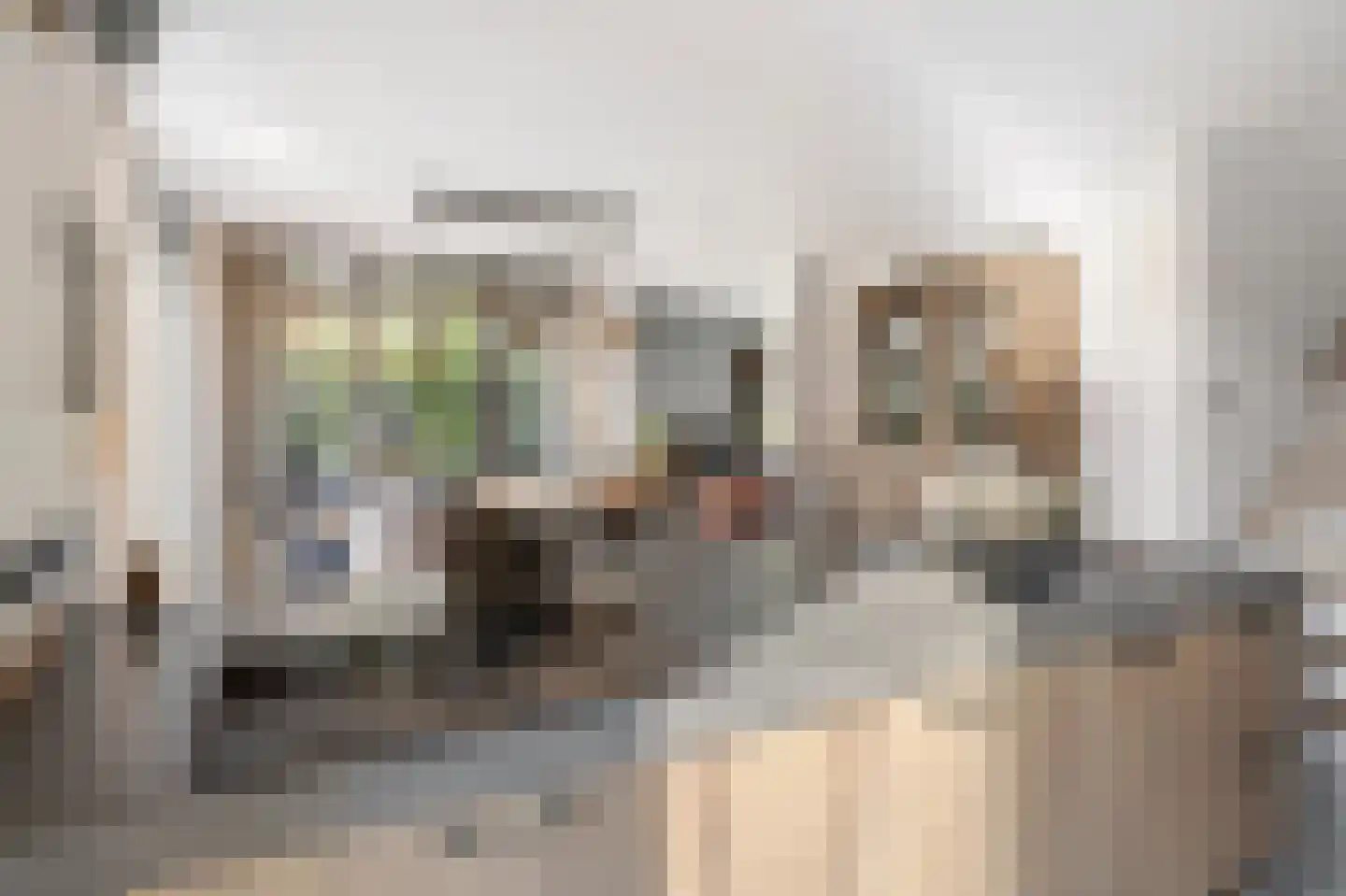 Baroniestraat 29 Etten-Leur thumbnail 27