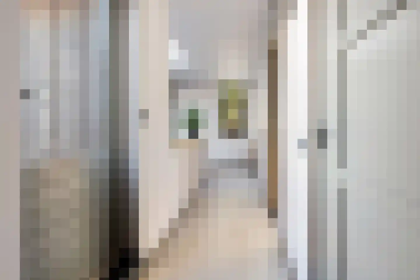 Baroniestraat 29 Etten-Leur thumbnail 49