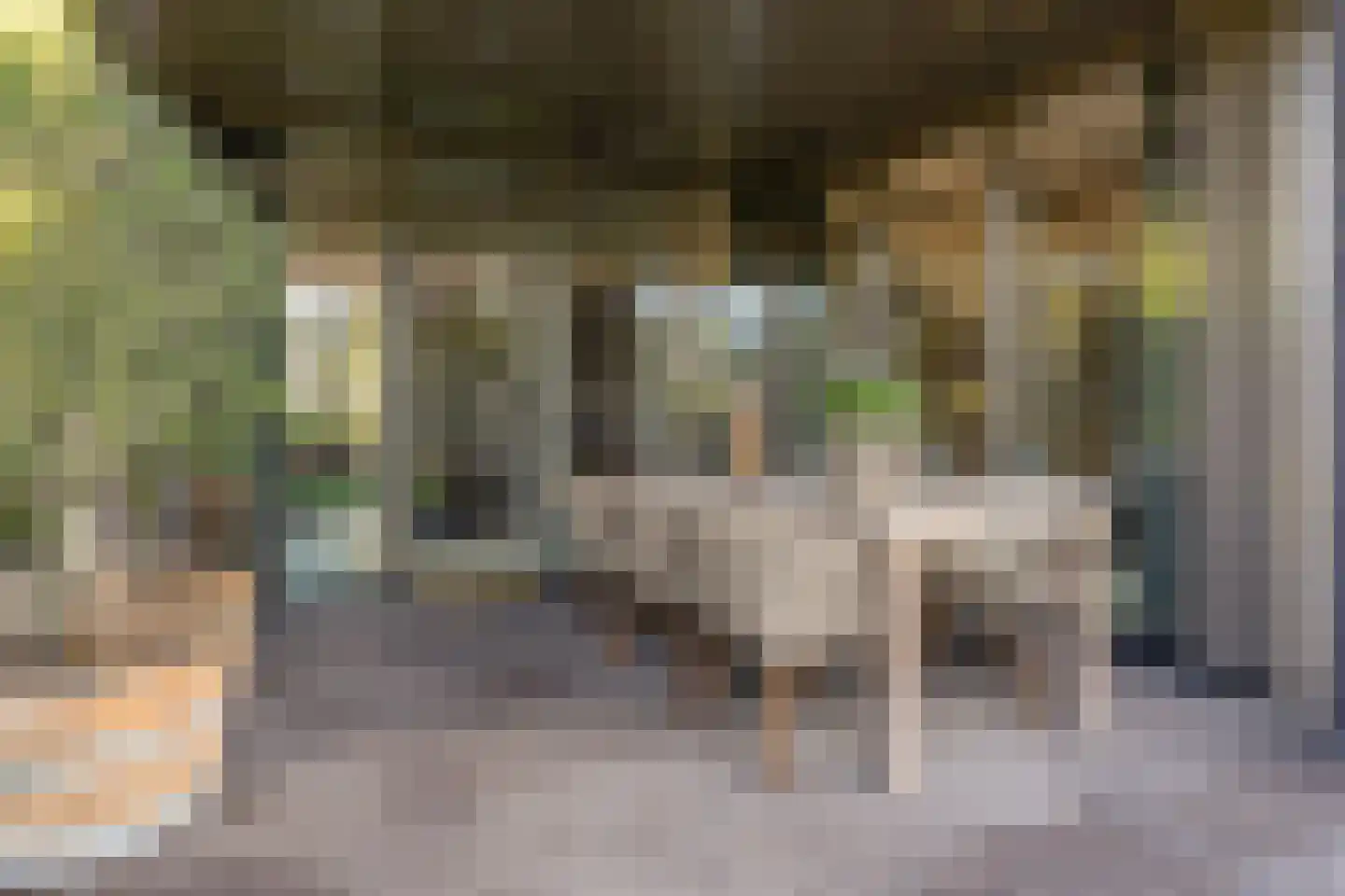 Baroniestraat 29 Etten-Leur thumbnail 64