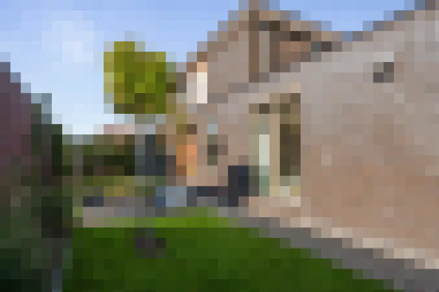 Baroniestraat 29 Etten-Leur thumbnail 69